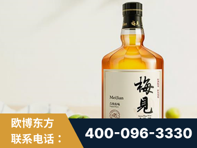 霍尔果斯-梅见青梅酒